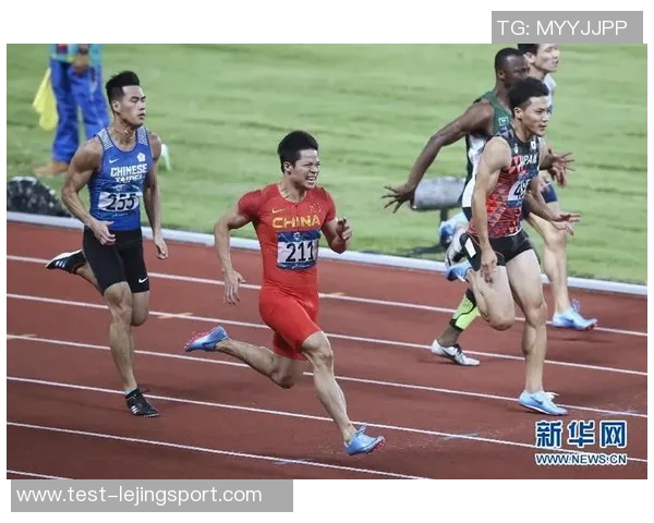 狂野足球东北虎展现激情与力量的赛场传奇之旅